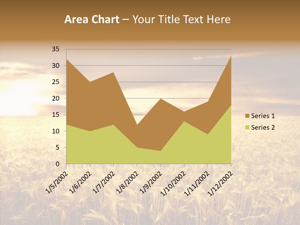 Barley Grain Grass PowerPoint Template