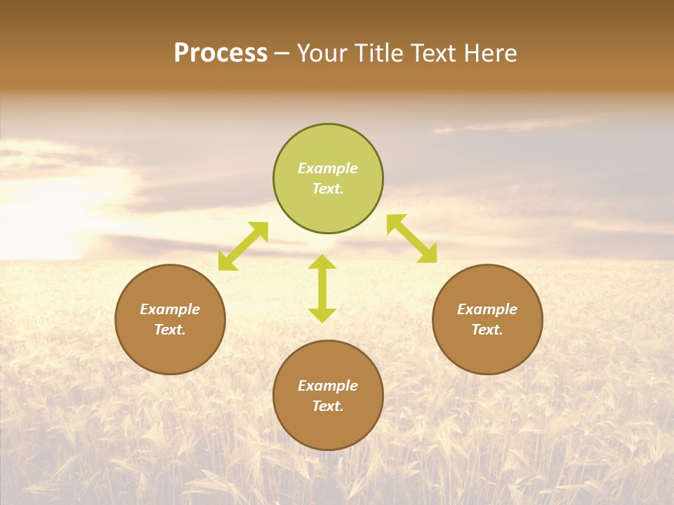 Barley Grain Grass PowerPoint Template