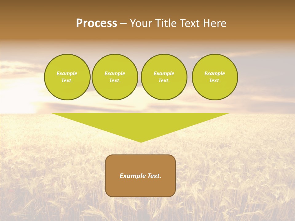 Barley Grain Grass PowerPoint Template