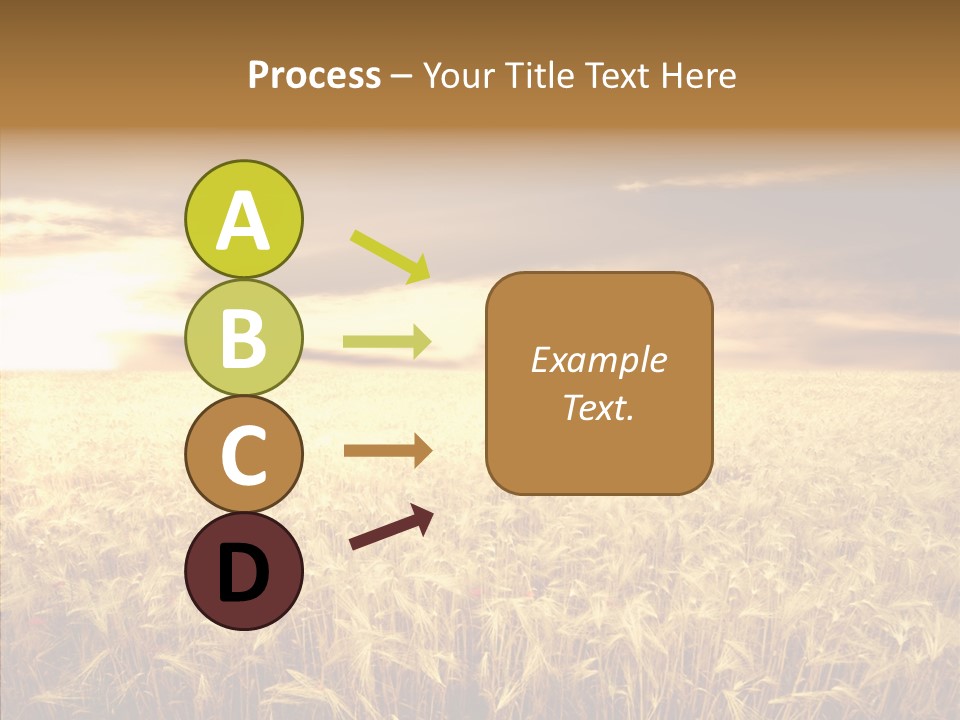 Barley Grain Grass PowerPoint Template