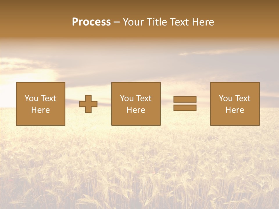 Barley Grain Grass PowerPoint Template