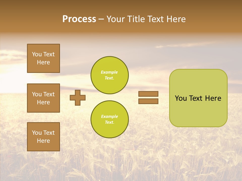 Barley Grain Grass PowerPoint Template
