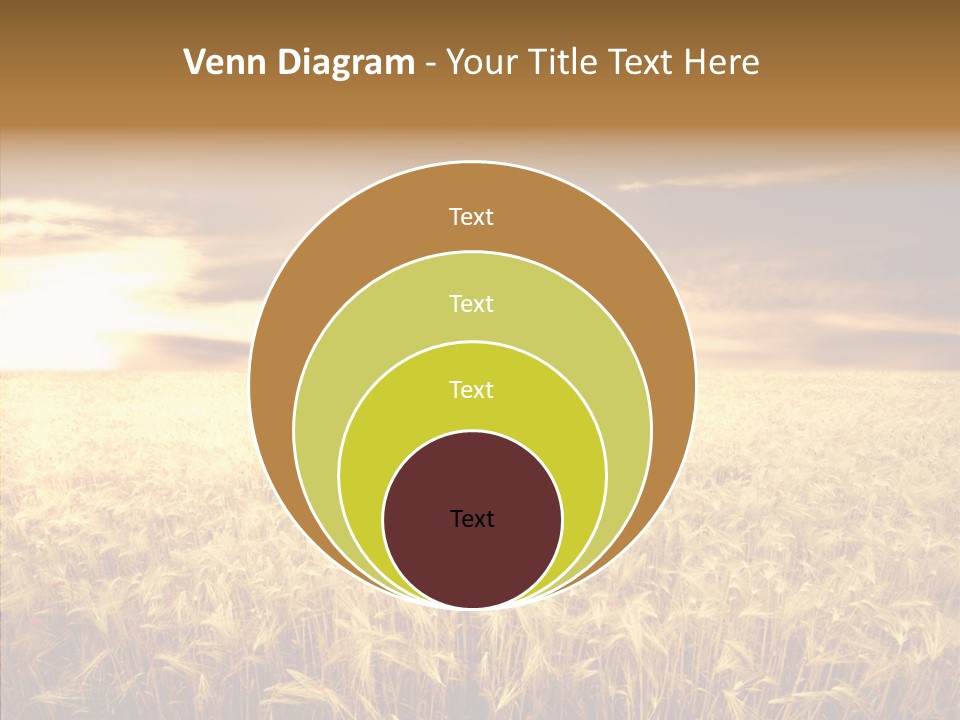 Barley Grain Grass PowerPoint Template