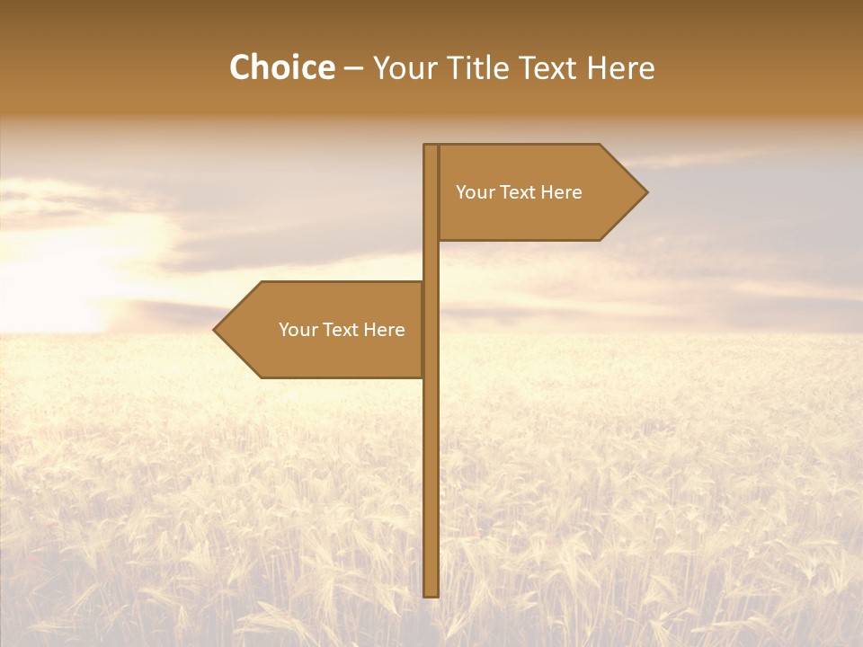 Barley Grain Grass PowerPoint Template