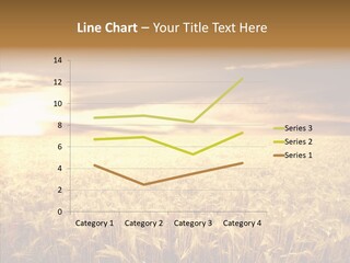 Barley Grain Grass PowerPoint Template