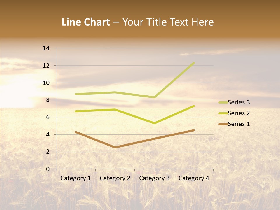 Barley Grain Grass PowerPoint Template