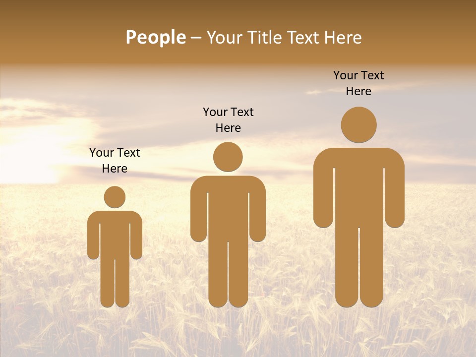 Barley Grain Grass PowerPoint Template