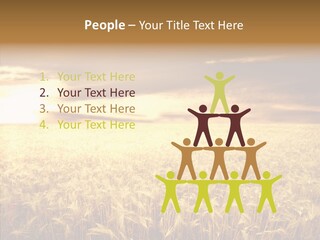 Barley Grain Grass PowerPoint Template