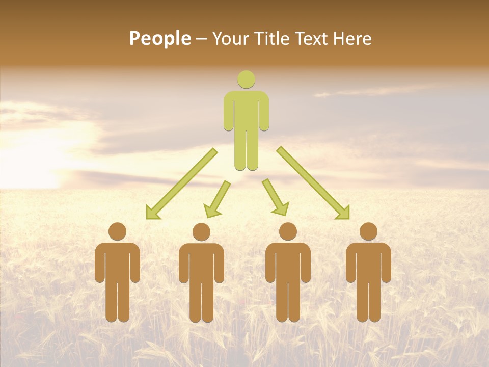 Barley Grain Grass PowerPoint Template