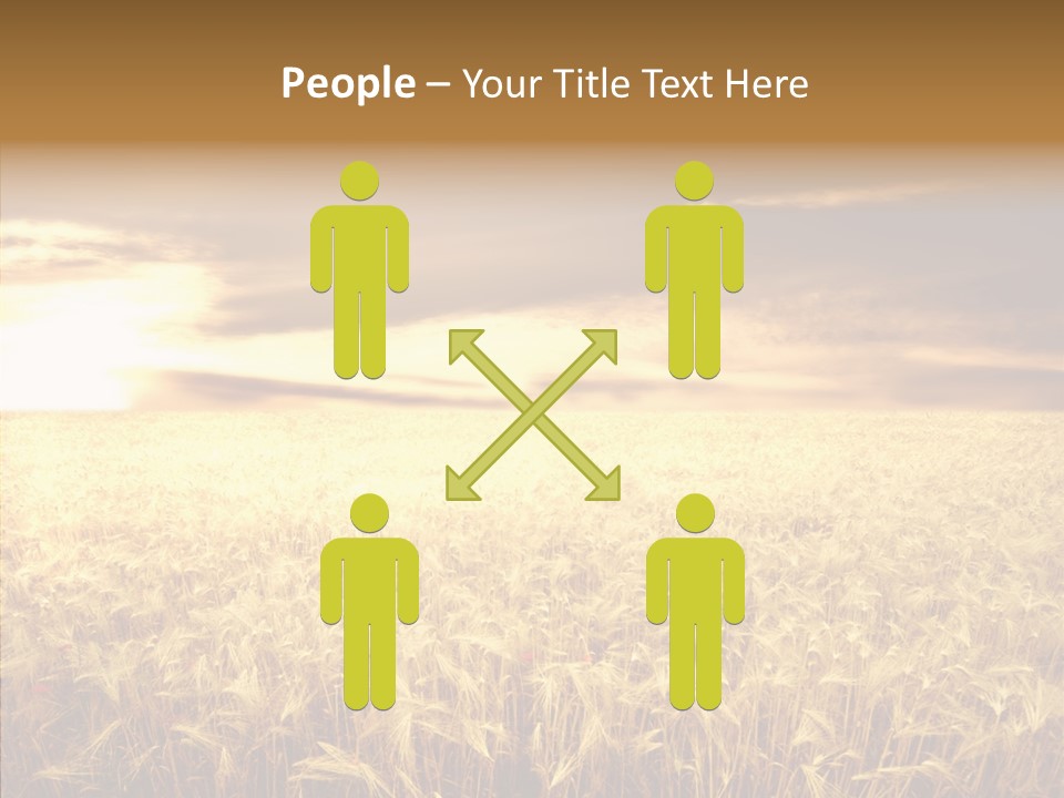 Barley Grain Grass PowerPoint Template