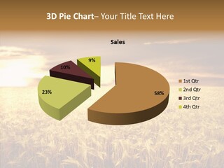 Barley Grain Grass PowerPoint Template