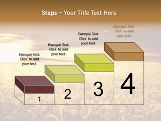 Barley Grain Grass PowerPoint Template