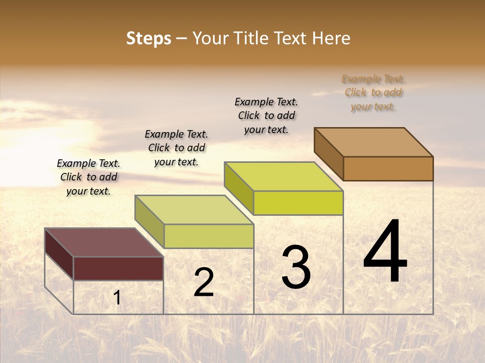 Barley Grain Grass PowerPoint Template