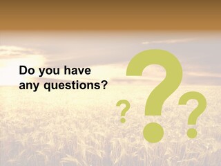 Barley Grain Grass PowerPoint Template