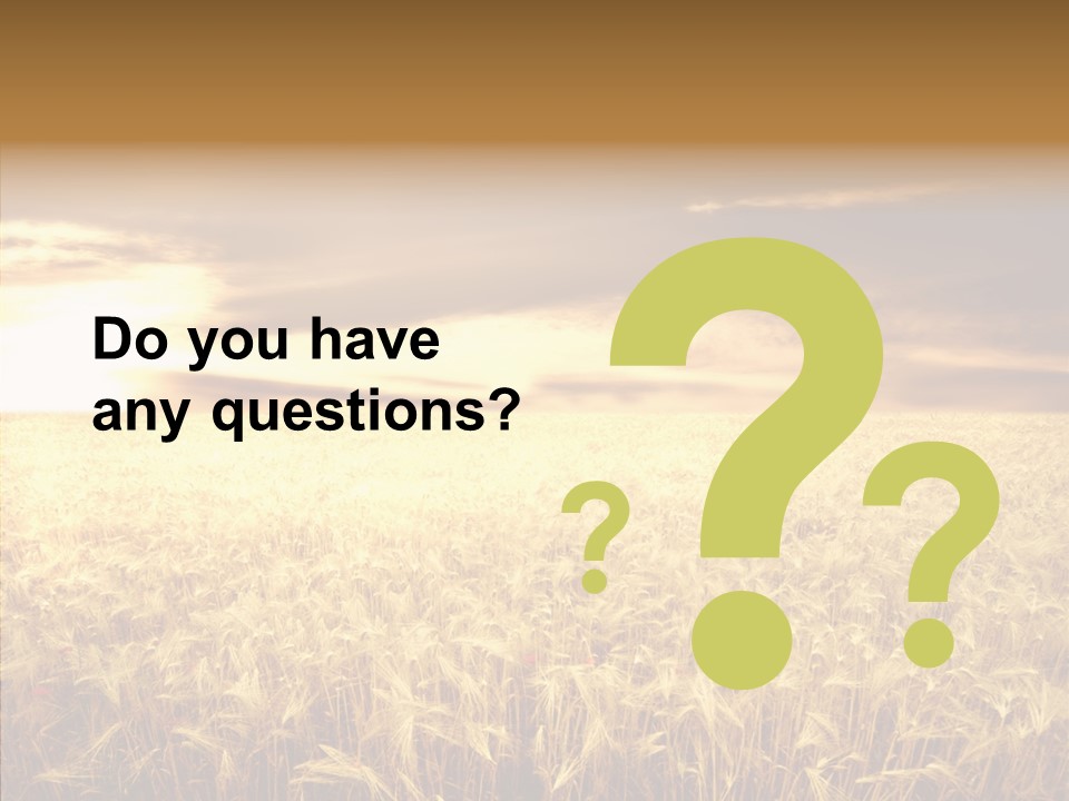 Barley Grain Grass PowerPoint Template