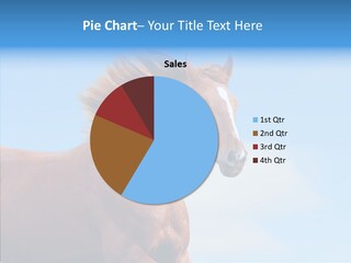 Beast Profile Purebred PowerPoint Template