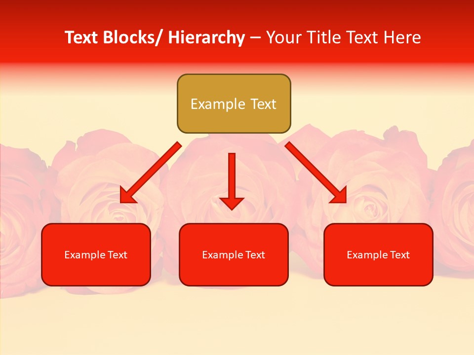 Colors Rose Flora PowerPoint Template