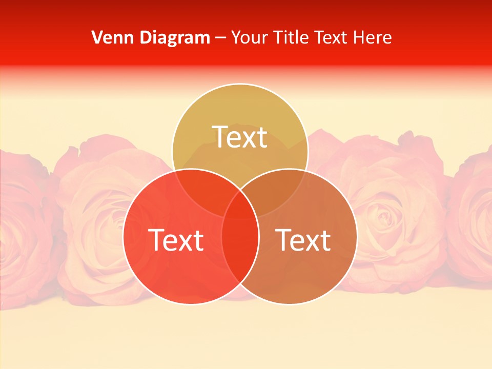 Colors Rose Flora PowerPoint Template