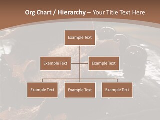 Chocolate Counter Flour PowerPoint Template