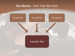Chocolate Counter Flour PowerPoint Template