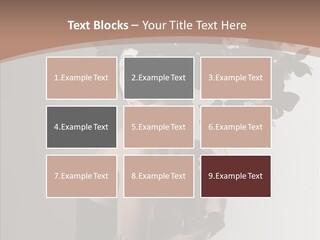 Body White Hat Studio PowerPoint Template