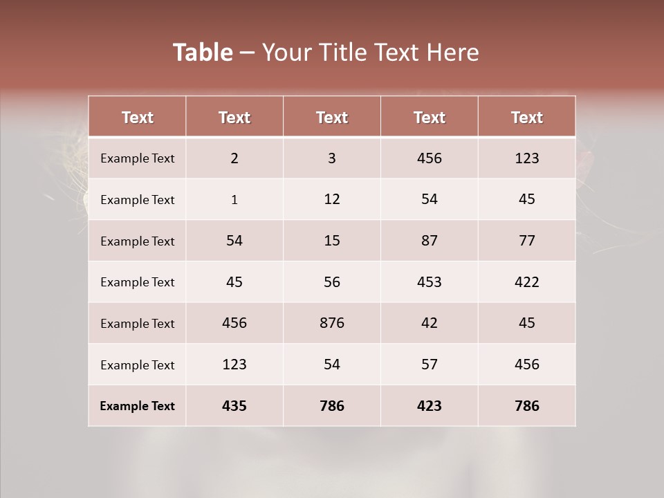 Shadow Hair Studio PowerPoint Template