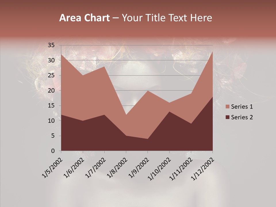 Shadow Hair Studio PowerPoint Template