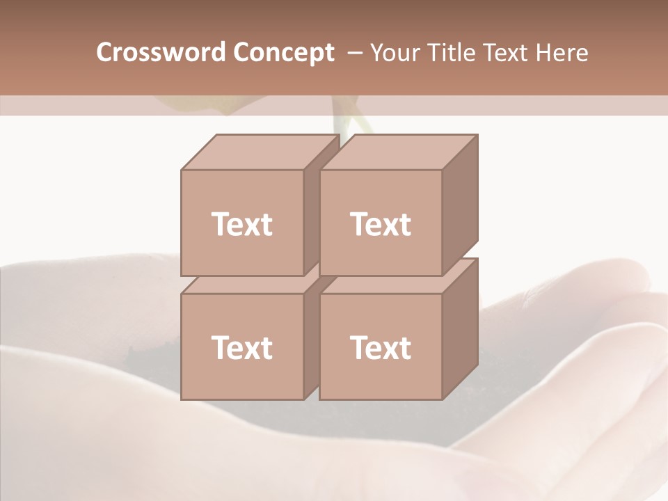 Beginnings Define Lives PowerPoint Template