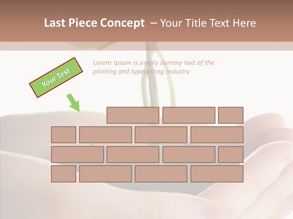 Beginnings Define Lives PowerPoint Template