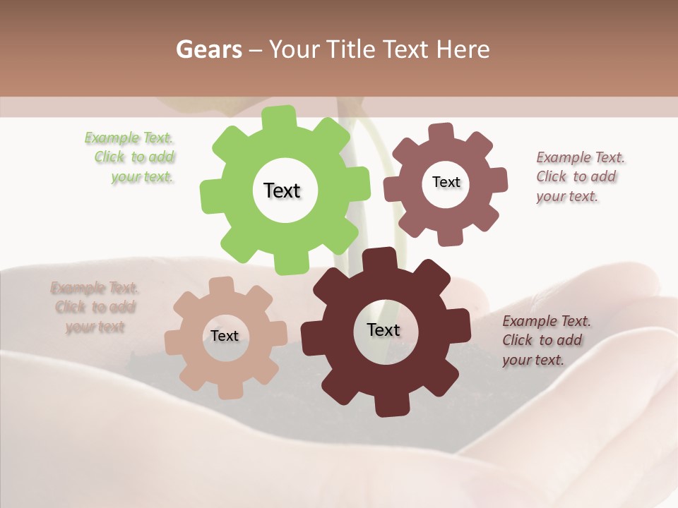 Beginnings Define Lives PowerPoint Template