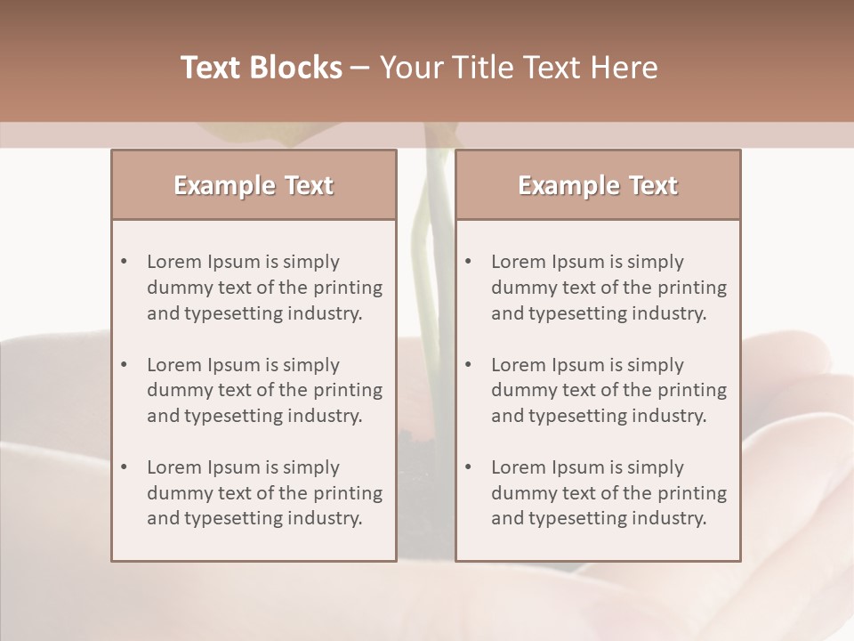 Beginnings Define Lives PowerPoint Template