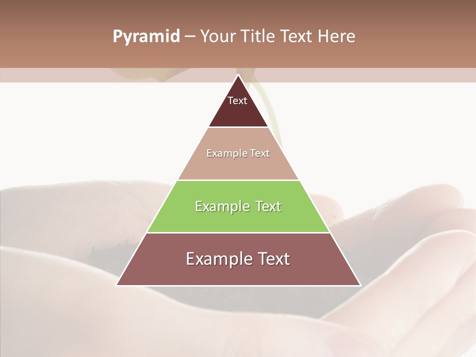 Beginnings Define Lives PowerPoint Template