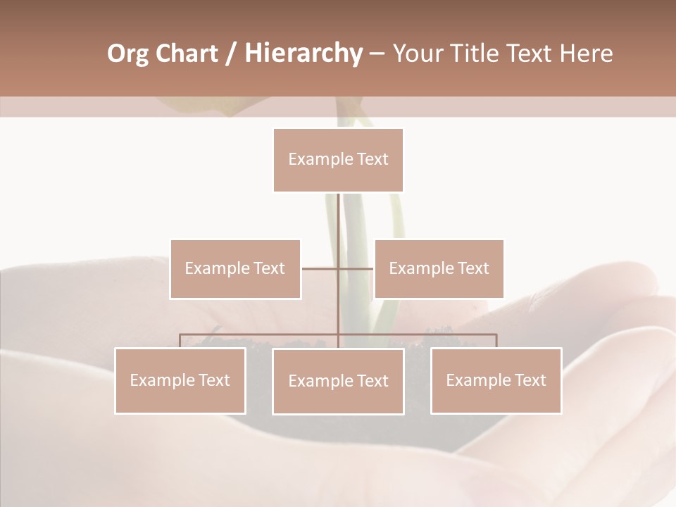 Beginnings Define Lives PowerPoint Template