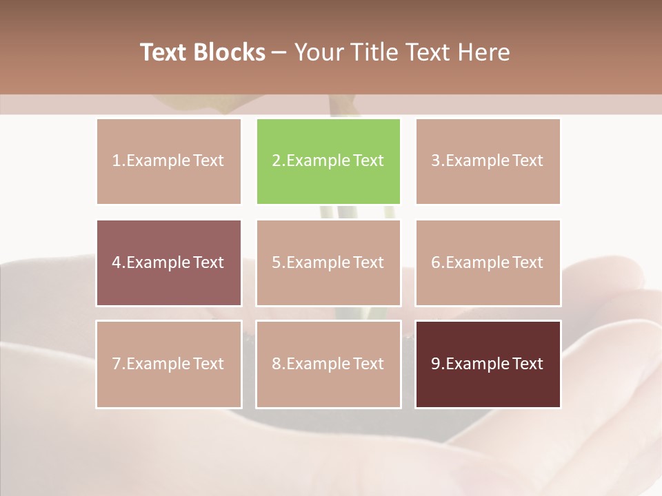 Beginnings Define Lives PowerPoint Template