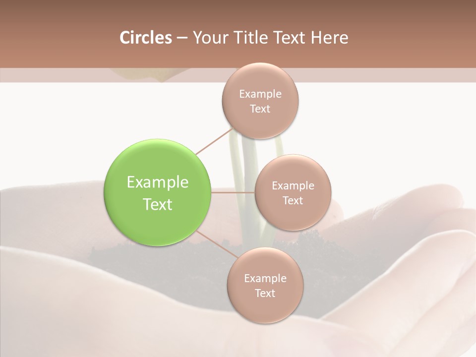 Beginnings Define Lives PowerPoint Template