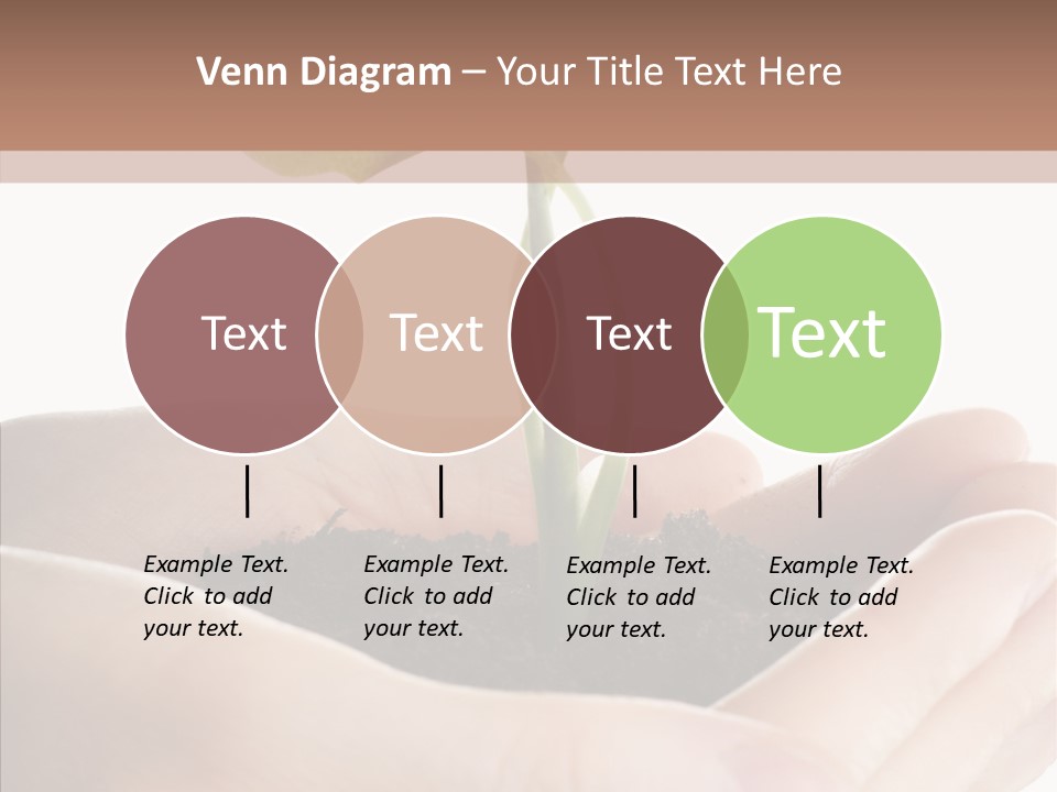 Beginnings Define Lives PowerPoint Template