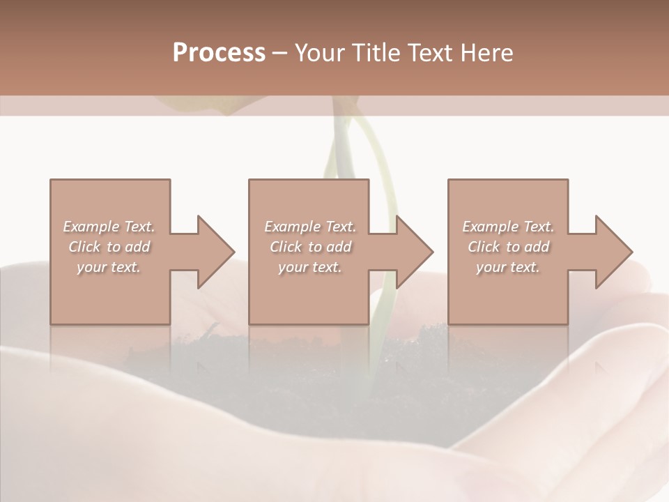 Beginnings Define Lives PowerPoint Template