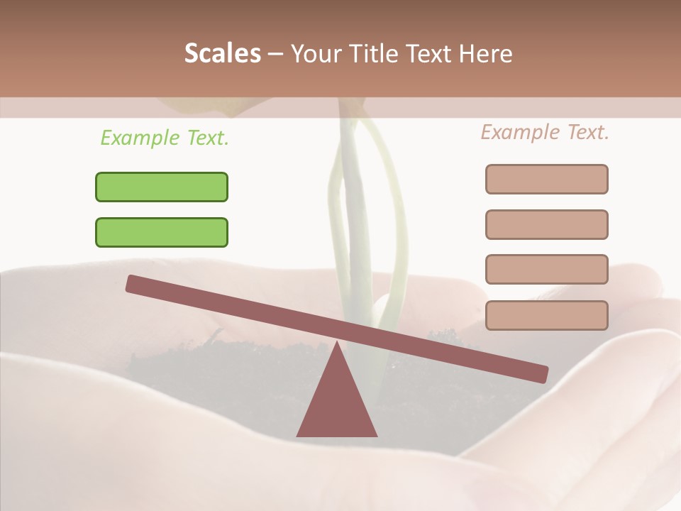 Beginnings Define Lives PowerPoint Template