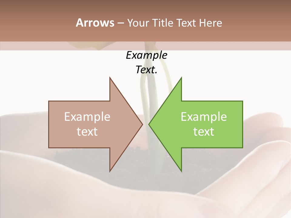 Beginnings Define Lives PowerPoint Template