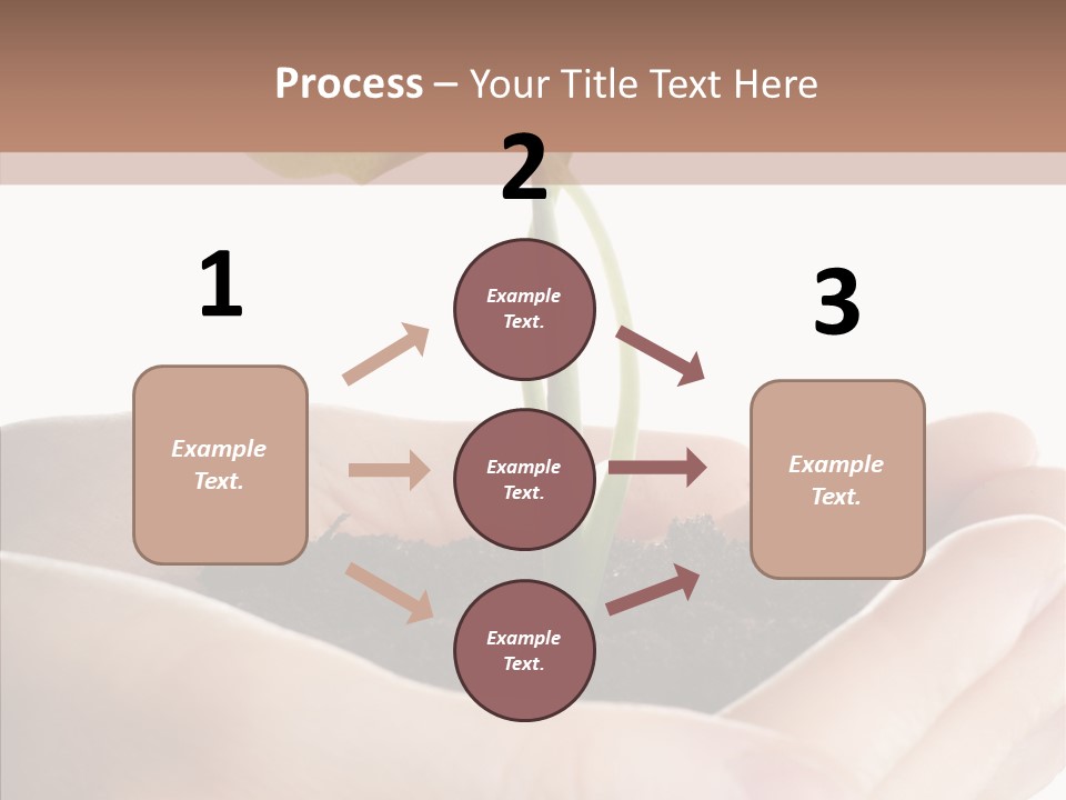 Beginnings Define Lives PowerPoint Template