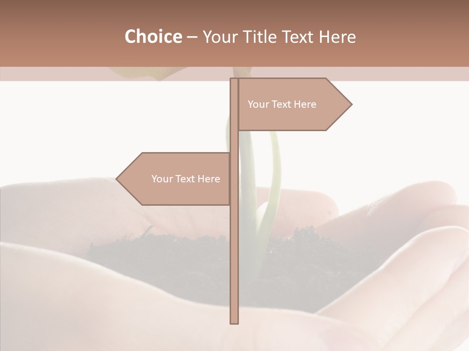 Beginnings Define Lives PowerPoint Template