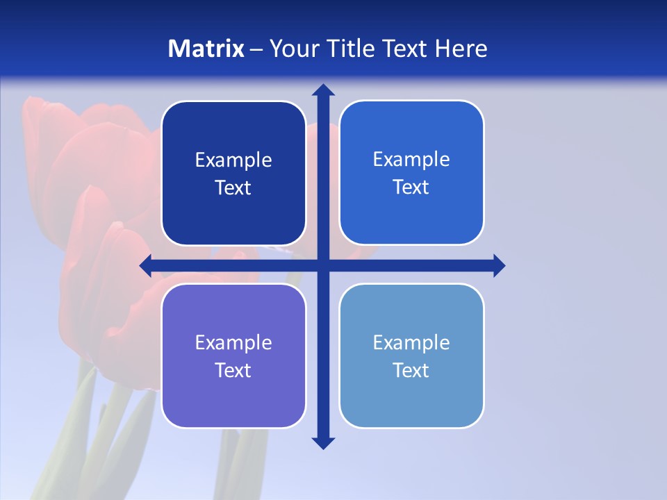 Farm Tulips Romance PowerPoint Template