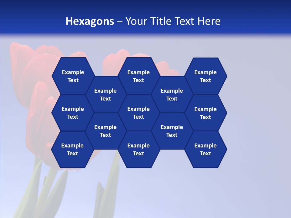 Farm Tulips Romance PowerPoint Template