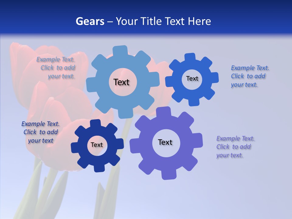 Farm Tulips Romance PowerPoint Template