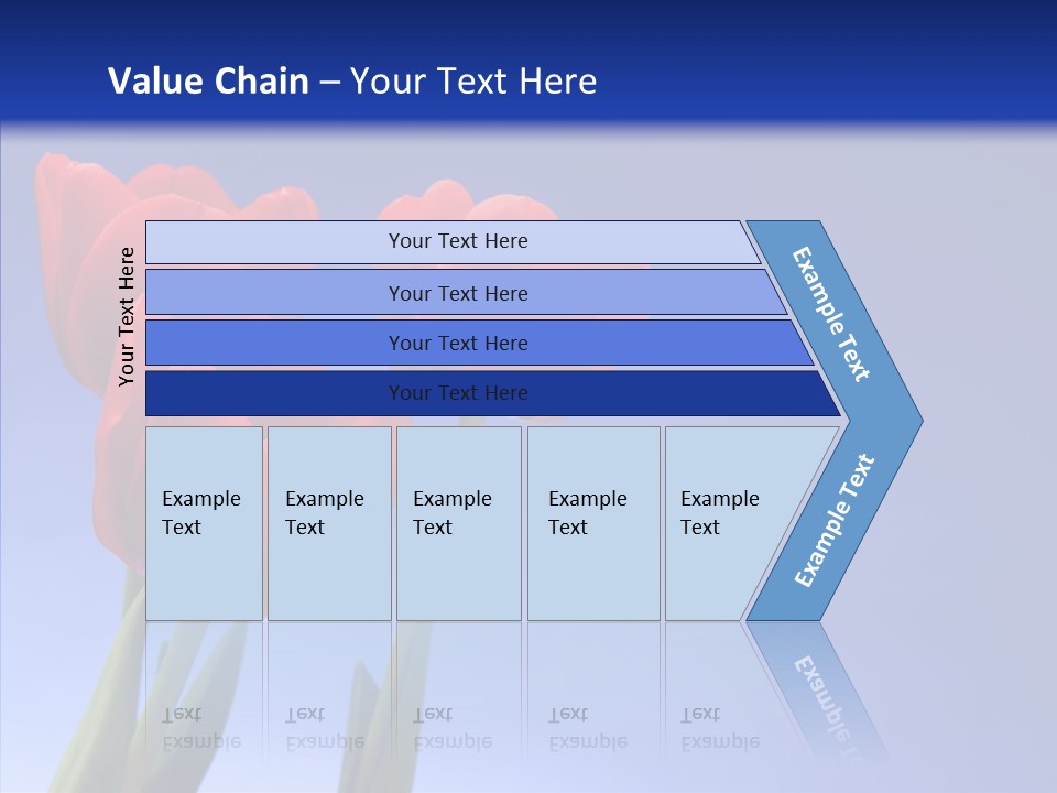 Farm Tulips Romance PowerPoint Template