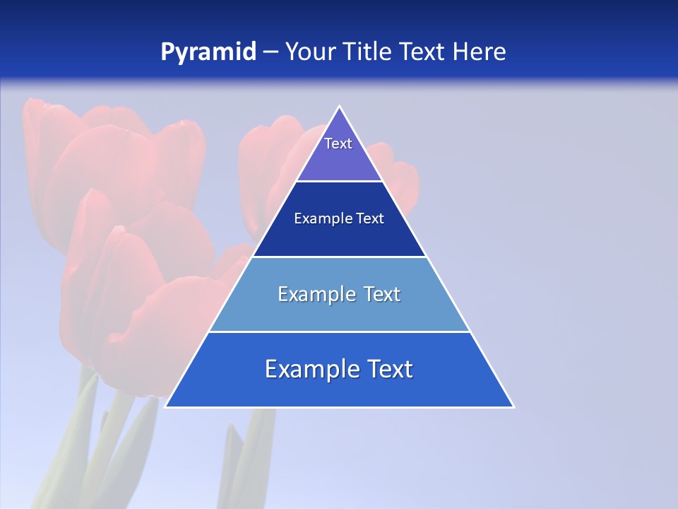 Farm Tulips Romance PowerPoint Template