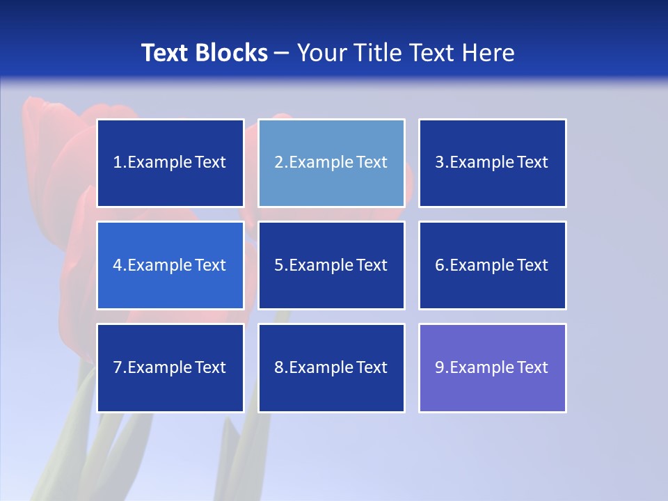 Farm Tulips Romance PowerPoint Template