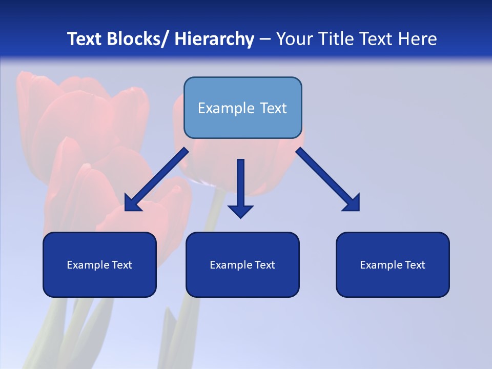 Farm Tulips Romance PowerPoint Template
