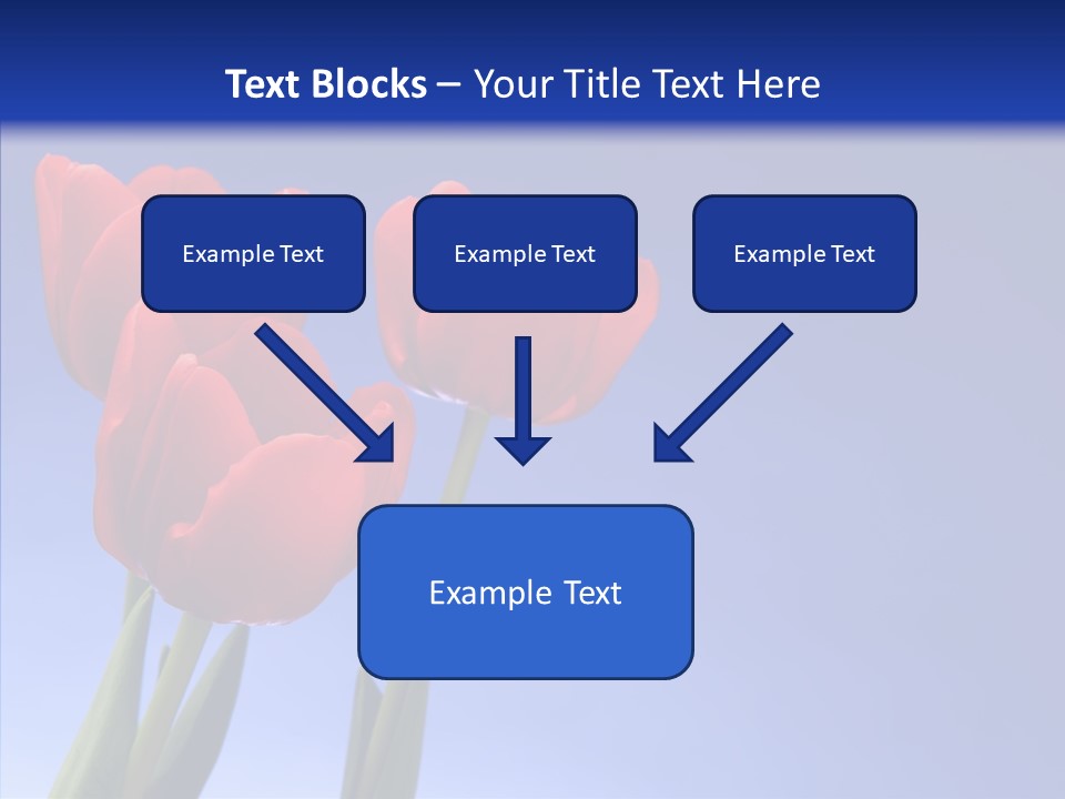 Farm Tulips Romance PowerPoint Template