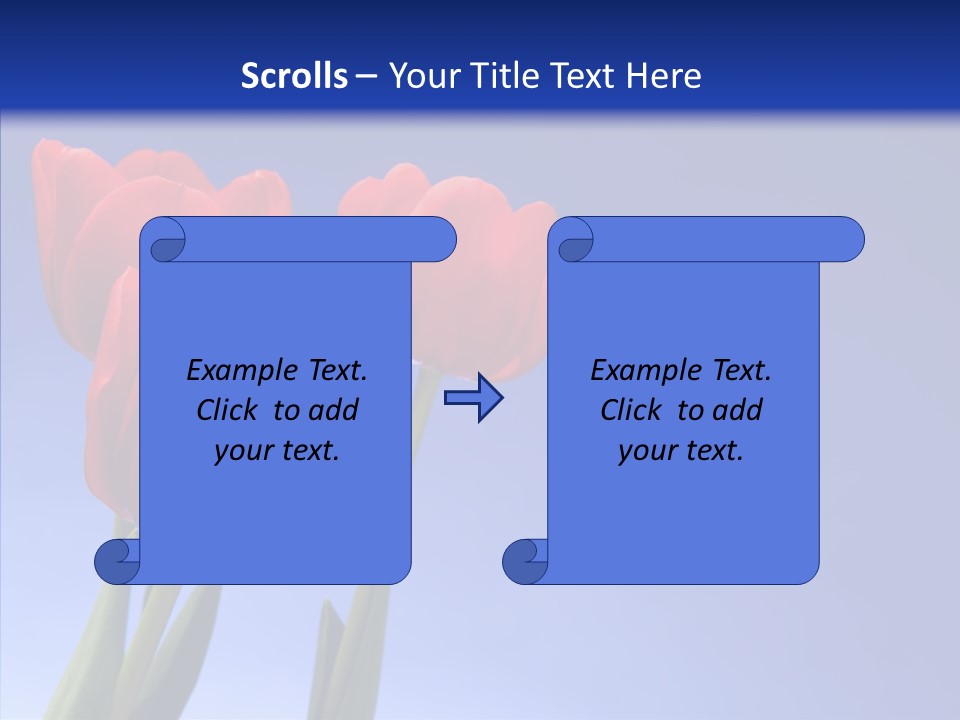 Farm Tulips Romance PowerPoint Template